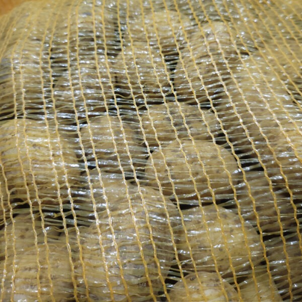 Pommes de terre bio agria